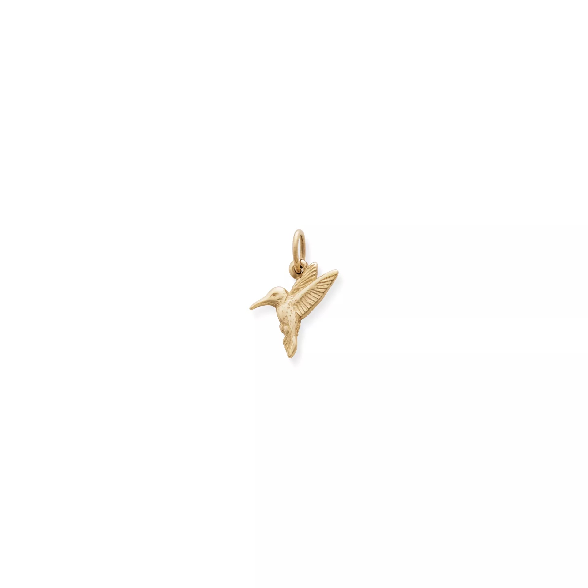 Hummingbird Charm