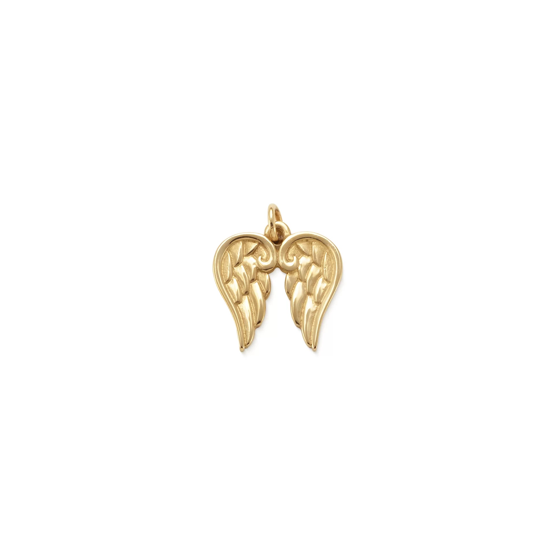 Angel Wings Charm