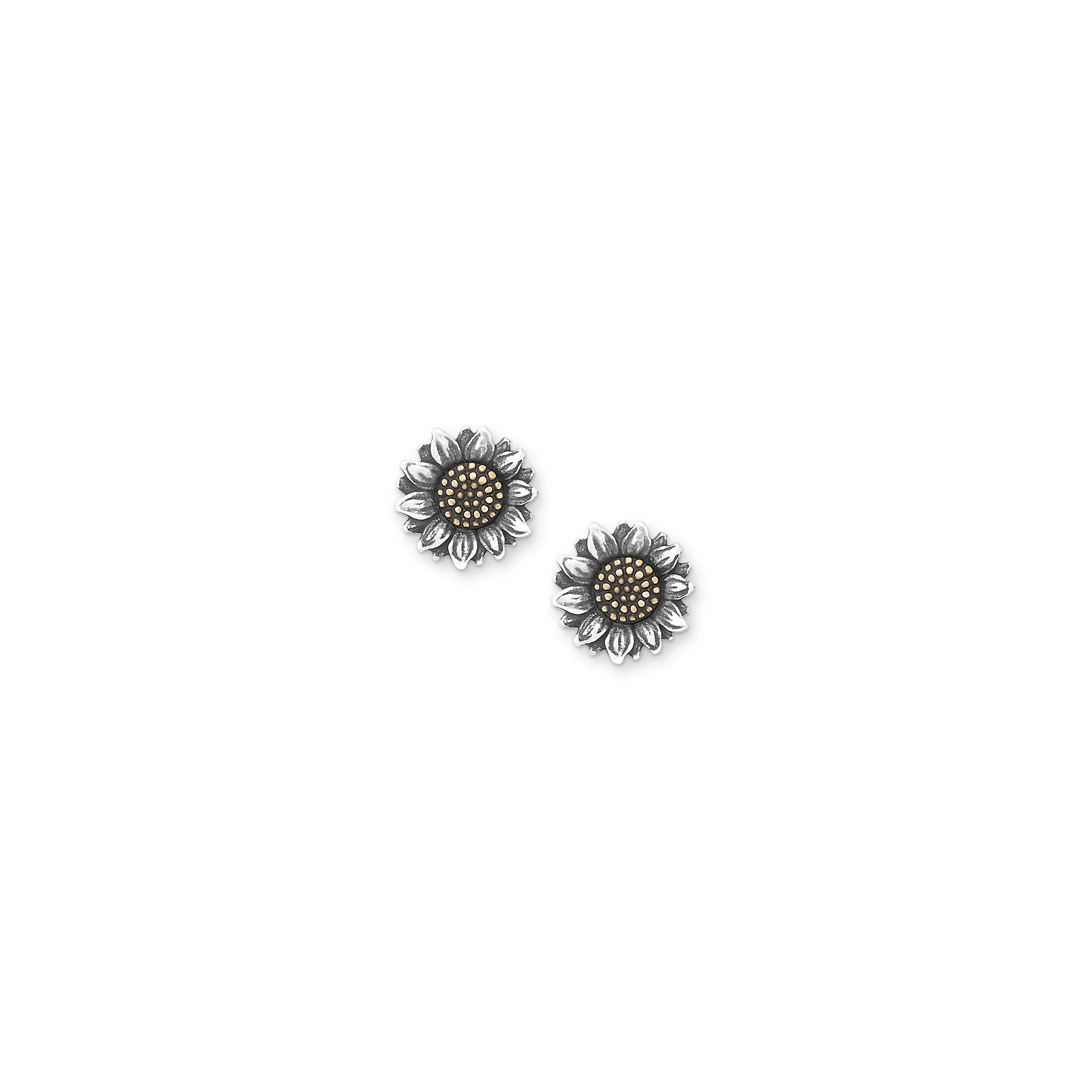 Wild Sunflower Studs